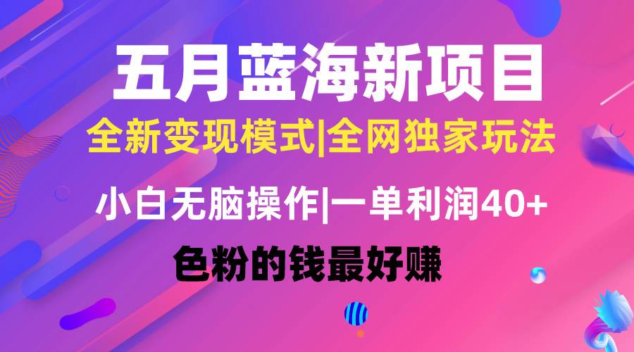 五月蓝海项目全新玩法,小白无脑操作,一天几分钟,矩阵操作,月入4万+-项目网