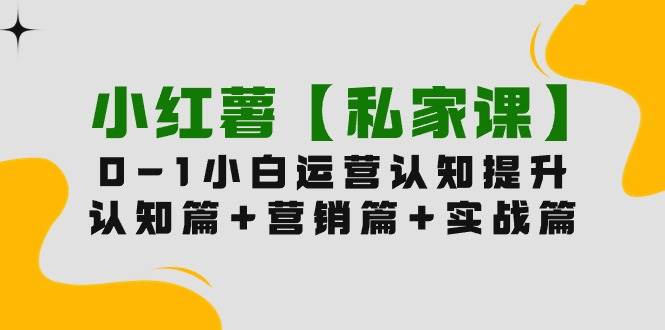小红薯【私家课】0-1玩赚小红书内容营销,认知篇+营销篇+实战篇(11节课)-项目网